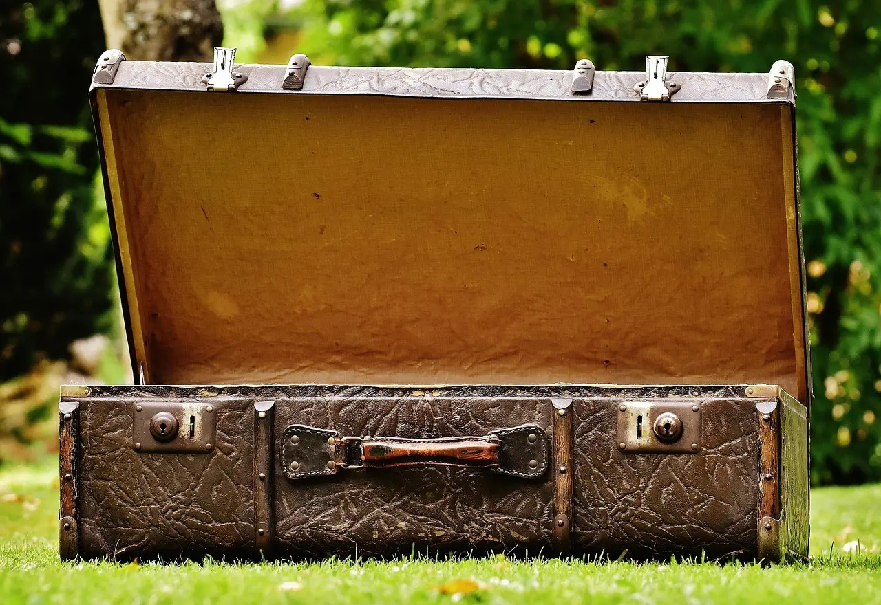 Den bedste kabinekuffert til håndbagage: hvad skal du kigge efter?