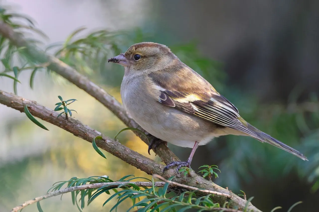 Familieøkonomi uden drama: Smarte vaner der giver mere fritid